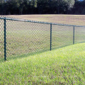 50мм * 50мм гальванизированный забор звена цепи с покрытием из ПВХ